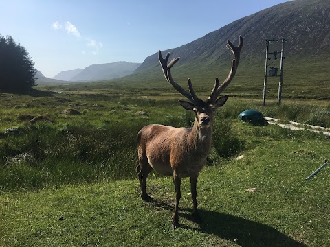 Experience Scotland's Wild