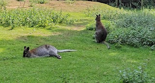 Askham Bryan Wildlife & Conservation Park