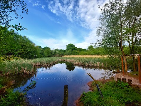 RSPB Middleton Lakes