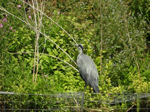 West Smethwick Park