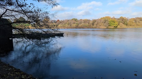 Marbury Country Park