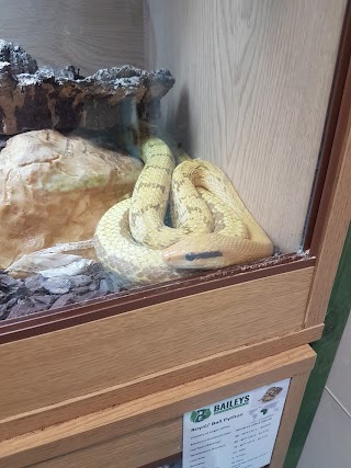 Bailey's Reptile's and Pet Supplies Doncaster Ltd