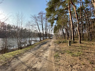 Басівський парк