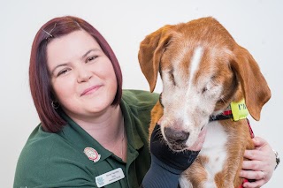 Raoul Dowding Vets, Gainsborough