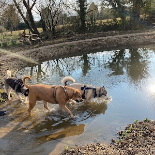 Mutleys Dog Park