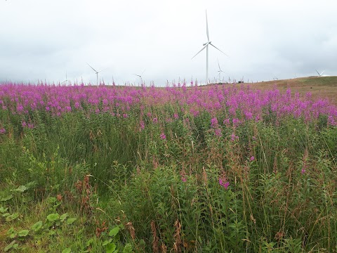 Whitelee Windfarm Visitor Centre