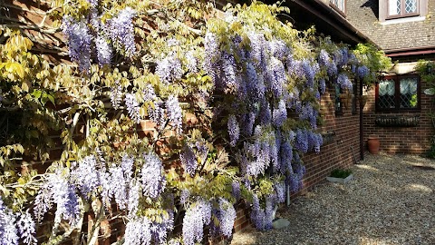 Wisteria House