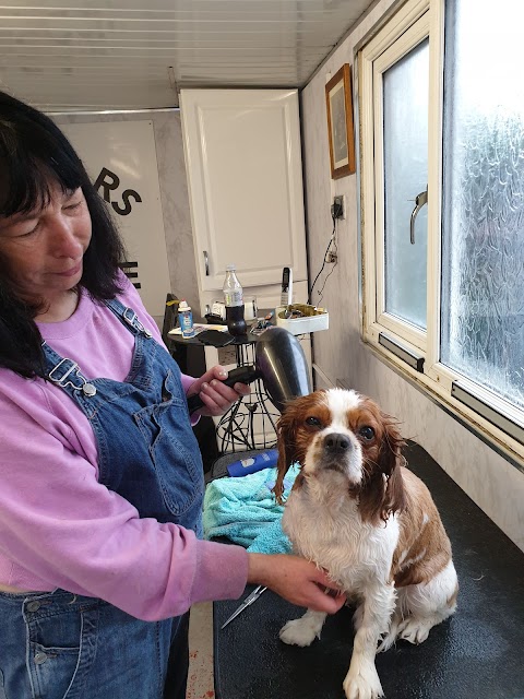 Oscars Dog Grooming