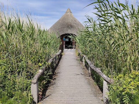 WWT Castle Espie