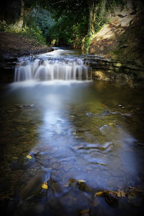 Three Brooks Local Nature Reserve