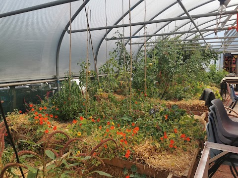 Arkwright Meadows Community Gardens