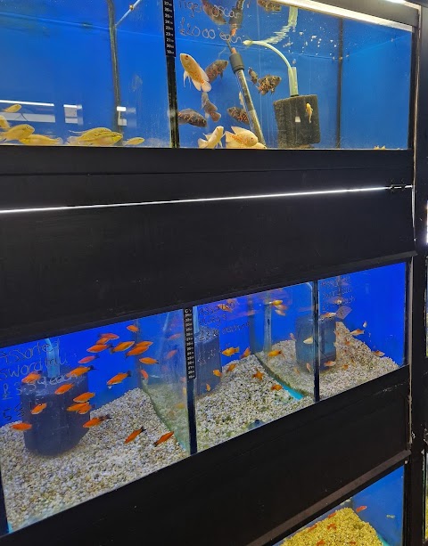 Burgos Pet World Aquatic Pet Shop