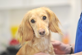 Shipley and Idle Veterinary Centres