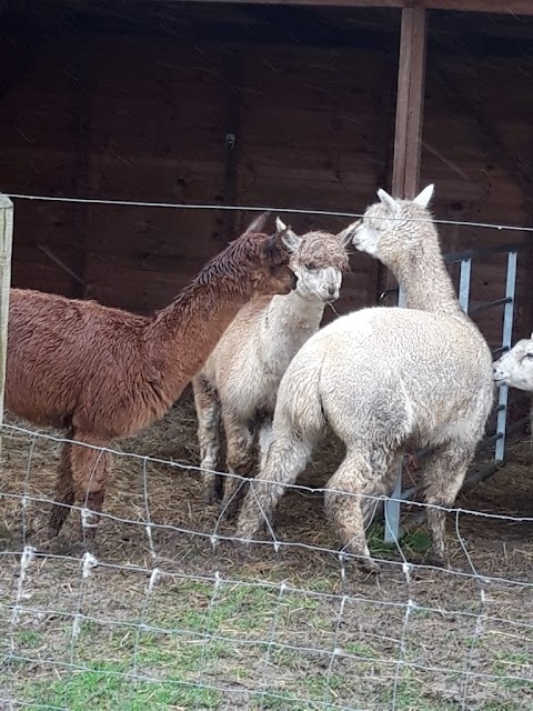 Westpoint Farm Vets, Winchester