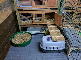 Finland Park Farm Bunny Hotel