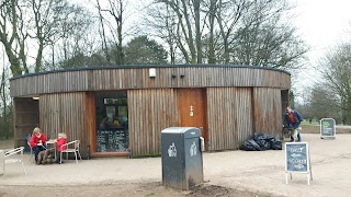 Bean Culture at Woodthorpe Grange Park