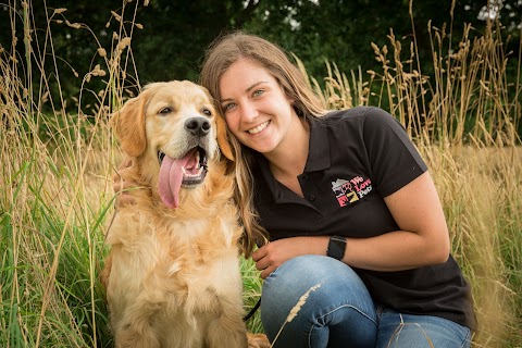 We Love Pets Wakefield - Dog Walker, Pet Sitter & Home Boarder