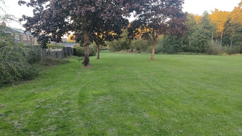 Langley Hall Park - Nature Reserve