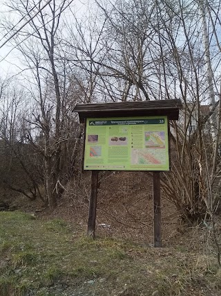 Відслонення трускавецьких конгломератів