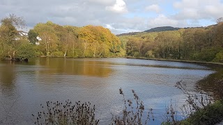 Etherow Country Park