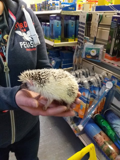 Ladysmith Pet Supplies