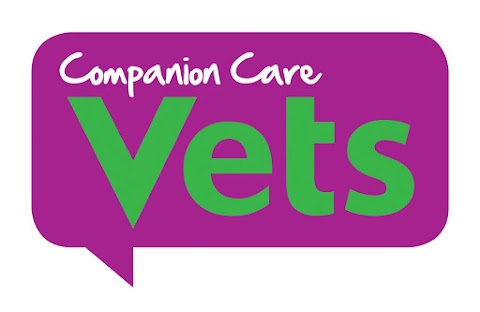 Companion Care - Derby Kingsway