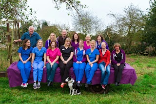 Heath & Reach Veterinary Surgery