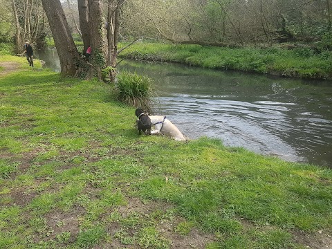 Wickham Water Meadows, Fareham Road, Wickham PO17 5DE