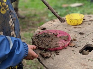 Out There Forest School and Kindergarten Stapleton (preschool/nursery)