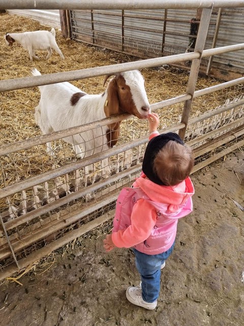 Honeysuckle Farm