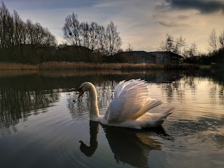 Oracle Lakes