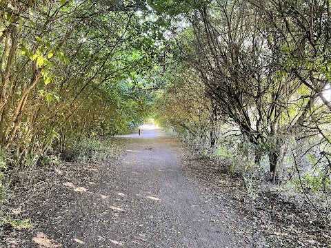 Radwell Meadows Country Park