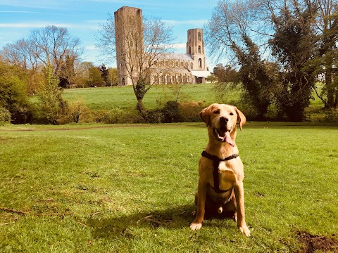 Waggy Tails of Wymondham