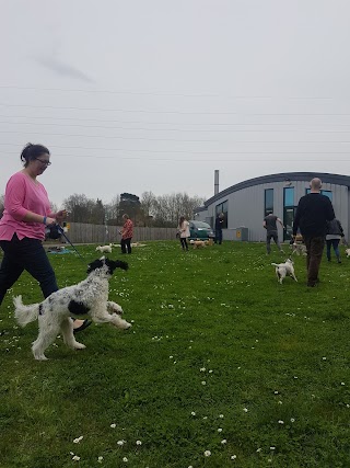 Sandhole Veterinary Centre - Kent