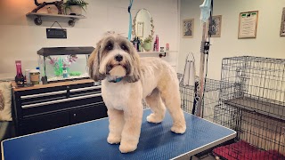 Sweet P's Dog Grooming