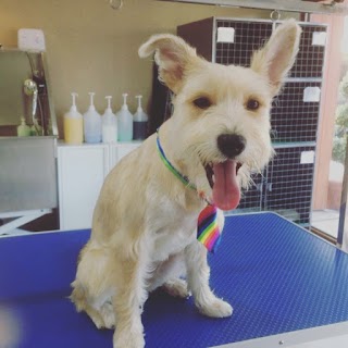 Parklands Dog Grooming