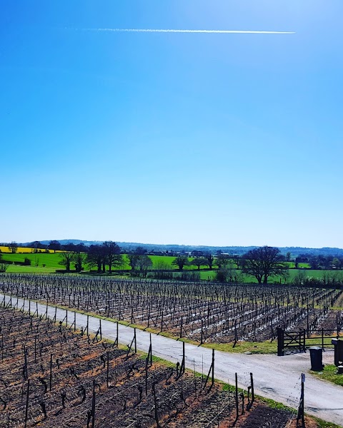 Halfpenny Green Vineyards