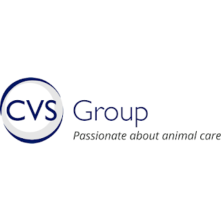 CVS Group plc