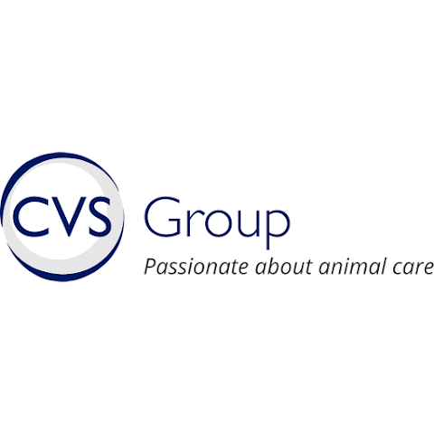 CVS Group plc