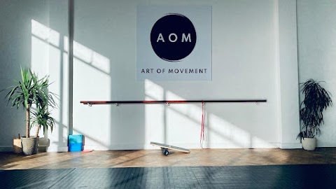 Art of Movement Bristol - Brazilian Jiu Jitsu and Capoeira