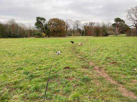 Hucknall Dog Walkers