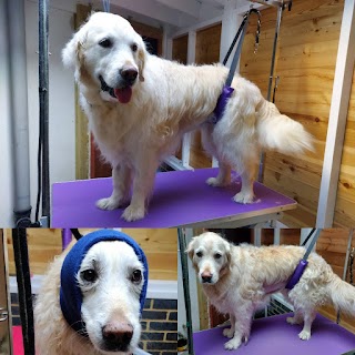 Pip and Marley Dog Grooming