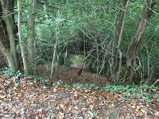 Bircham Valley Local Nature Reserve