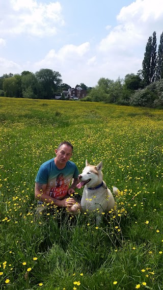 winsford dog walking &pet Sitting