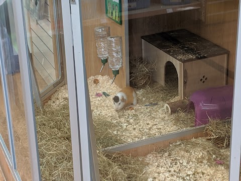 Pets at Home Epsom