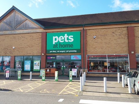 Pets at Home Bristol Emersons