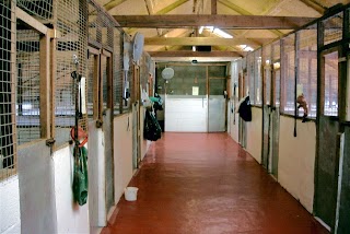 Downlands Boarding Kennels & Cattery - Didcot, Wallingford, Oxfordshire