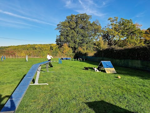 Hounds & Bounds Paws Paddock secure dog field