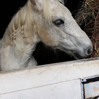 Hayfield Riding