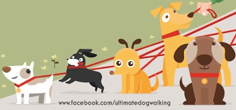 Ultimate Dog Walking Services